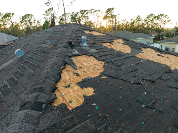 Best Asphalt Shingles Roofing  in Grand Rapids, MI