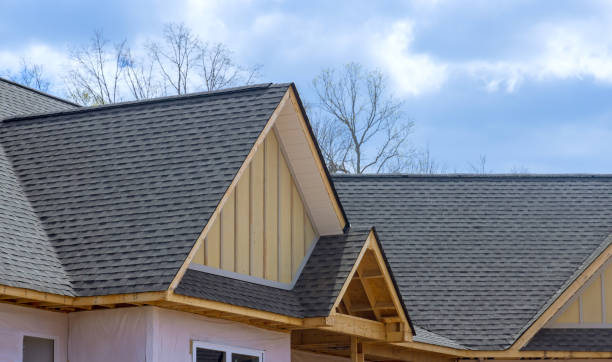 Best Chimney Flashing Repair  in Grand Rapids, MI